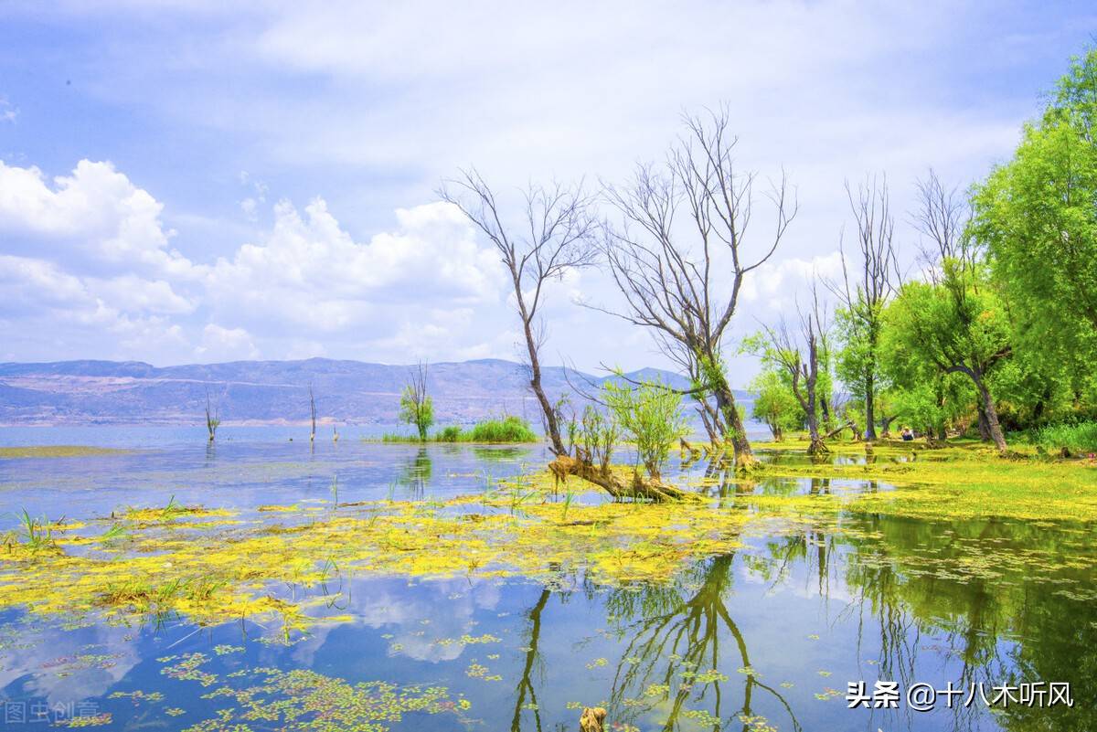 考研拟录取后，6～9月应该干点什么呢？